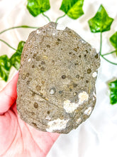 Load image into Gallery viewer, Clear Stilbite &  Clear Apophyllite on Okenite Mineral Specimen (O)