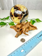 Load image into Gallery viewer, Septarian Sphere (48X)