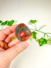 Load image into Gallery viewer, African Blood Tumbled Stones