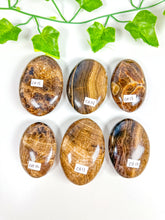 Load image into Gallery viewer, Chocolate Calcite Palmstone (CH15-CH10)