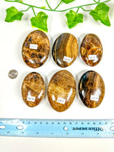 Load image into Gallery viewer, Chocolate Calcite Palmstone (CH15-CH10)