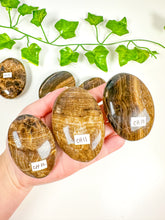 Load image into Gallery viewer, Chocolate Calcite Palmstone (CH15-CH10)