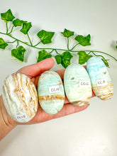 Load image into Gallery viewer, Caribbean Calcite Palmstone (CC15-CC11)