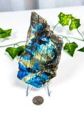 Load image into Gallery viewer, Labradorite Slab (18A)