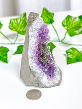 Load image into Gallery viewer, Amethyst Cutbase Pyrite Miner (22E)