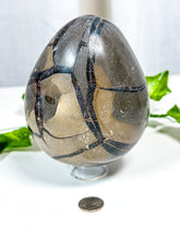 Load image into Gallery viewer, Druzy Septarian Geode Egg (85A)