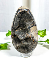 Load image into Gallery viewer, Druzy Septarian Geode Egg (70A)