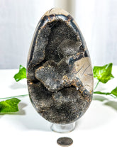 Load image into Gallery viewer, Druzy Septarian Geode Egg (70A)