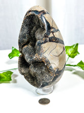 Load image into Gallery viewer, Druzy Septarian Geode Egg (70A)