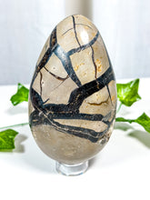 Load image into Gallery viewer, Druzy Septarian Geode Egg (70A)