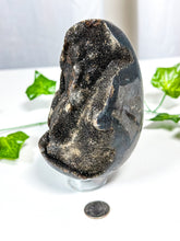 Load image into Gallery viewer, Druzy Septarian Geode Egg w/ Calcite (55A)