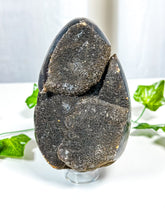 Load image into Gallery viewer, Septarian Geode Egg (30A)