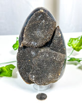 Load image into Gallery viewer, Septarian Geode Egg (30A)