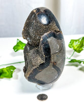 Load image into Gallery viewer, Septarian Geode Egg (30A)