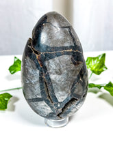 Load image into Gallery viewer, Septarian Geode Egg (30A)