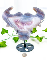 Load image into Gallery viewer, Druzy Amethyst Agate Bull on Stand (55D)