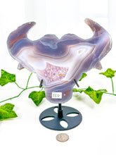 Load image into Gallery viewer, Druzy Amethyst Agate Bull on Stand (55D)