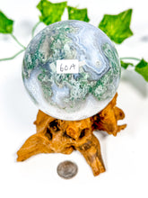 Load image into Gallery viewer, Moss Agate Sphere (60A)