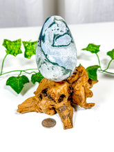 Load image into Gallery viewer, Moss Agate Egg (25A)