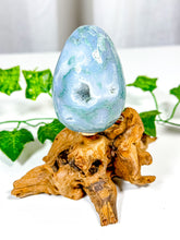 Load image into Gallery viewer, Moss Agate Egg (25C)