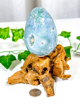 Load image into Gallery viewer, Moss Agate Egg (25C)