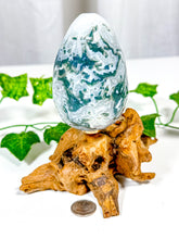 Load image into Gallery viewer, Moss Agate Egg (25E)