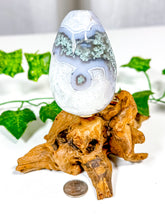 Load image into Gallery viewer, Moss Agate Egg (23A)