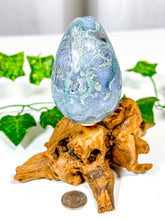 Load image into Gallery viewer, Moss Agate Egg (23B)