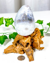 Load image into Gallery viewer, Moss Agate Egg (20B)