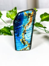 Load image into Gallery viewer, Labradorite Freeform (42B)