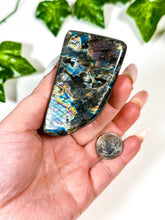 Load image into Gallery viewer, Labradorite Freeform (22E)
