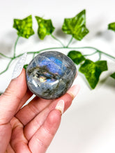 Load image into Gallery viewer, Labradorite Palmstone (8C)