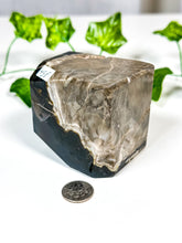 Load image into Gallery viewer, Volcanic Agate Standing Cube (UV) 45F