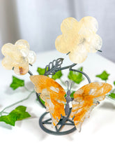 Load image into Gallery viewer, Golden Healer Butterfly + Flower Set (75A)