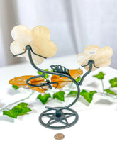 Load image into Gallery viewer, Golden Healer Butterfly + Flower Set (75A)