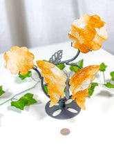 Load image into Gallery viewer, Golden Healer Butterfly + Flower Set (75B)