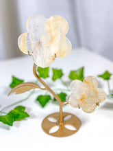 Load image into Gallery viewer, Golden Healer Flower Set (58C)