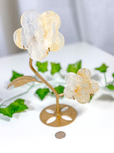 Load image into Gallery viewer, Golden Healer Flower Set (58C)