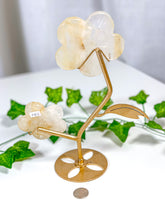 Load image into Gallery viewer, Golden Healer Flower Set (58C)