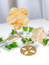 Load image into Gallery viewer, Golden Healer Flower Set (58B)