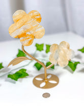 Load image into Gallery viewer, Golden Healer Flower Set (58B)