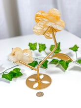 Load image into Gallery viewer, Golden Healer Flower Set (58B)