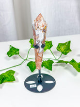 Load image into Gallery viewer, Crazy Lace Agate Wand on Stand (38A)