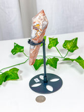 Load image into Gallery viewer, Crazy Lace Agate Wand on Stand (38A)