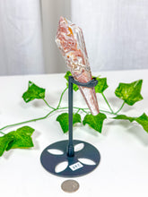 Load image into Gallery viewer, Crazy Lace Agate Wand on Stand (34C)
