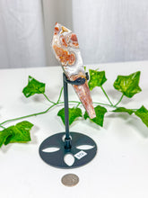 Load image into Gallery viewer, Crazy Lace Agate Wand on Stand (34D)
