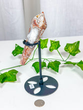Load image into Gallery viewer, Crazy Lace Agate Wand on Stand (34D)