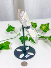 Load image into Gallery viewer, Crazy Lace Agate Wand on Stand (33A)