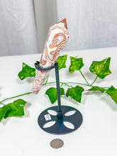 Load image into Gallery viewer, Crazy Lace Agate Wand on Stand (28A)