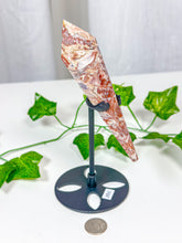 Load image into Gallery viewer, Crazy Lace Agate Wand on Stand (28C)